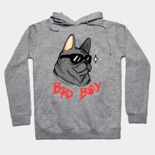 Cool Boy Hoodie